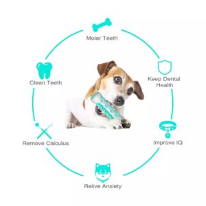 Juguete Dental Hueso para Perros - Imagen 6