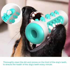 Juguete Dental Hueso para Perros - Imagen 5