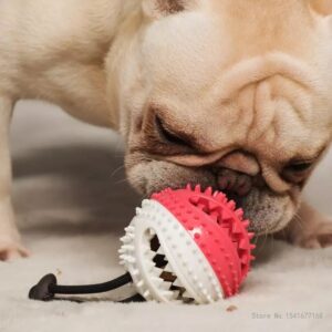 Juguete Dental Pelota con Cascabel para Perro - Imagen 4