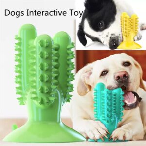 Juguete Dental Cactus para Perro - Imagen 10