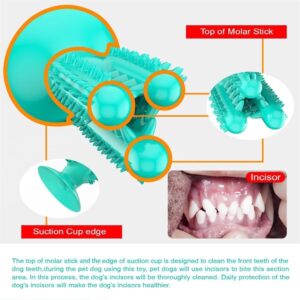 Juguete Dental Cactus para Perro - Imagen 9