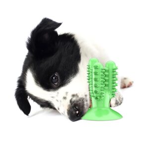 Juguete Dental Cactus para Perro - Imagen 4