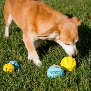 Juguete Pelota Dental - Imagen 2