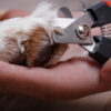 Corta Uñas con Lima para Perros Chicos - Imagen 3