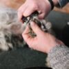 Corta Uñas con Lima para Perros Chicos - Imagen 2