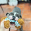 Peluche Hueso - Imagen 3