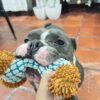Peluche Hueso - Imagen 2