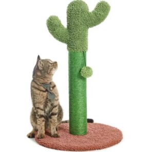 Rascador Cactus