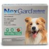 Nexgard para perros - Imagen 3