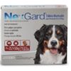 Nexgard para perros - Imagen 4
