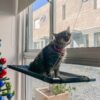 Cama colgante para gatos - Imagen 5