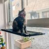 Cama colgante para gatos