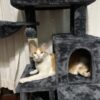 Rascador Tina - Imagen 3