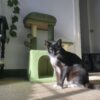Rascador Grinch - Imagen 2
