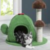 Rascador Cactus - Imagen 9