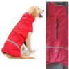 Campera Doglemi - Imagen 3