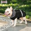 Campera Doglemi