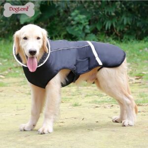 Campera Doglemi - Imagen 4