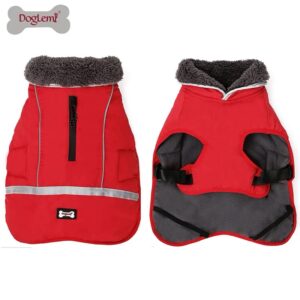 Campera Doglemi - Imagen 6