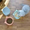 Plato alto para gatos de plastico - Imagen 6
