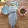 Plato alto para gatos de plastico