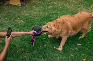 Pelota maciza grande - Imagen 2