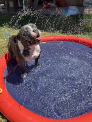 Piscina splash NOBBY