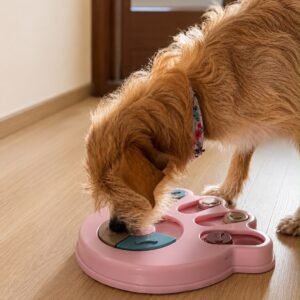 puzzle interactivo