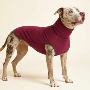 polera polar para perros