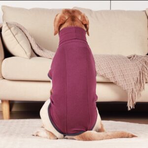Polera polar para perros - Imagen 4
