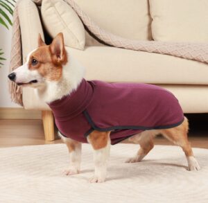 Polera polar para perros - Imagen 3