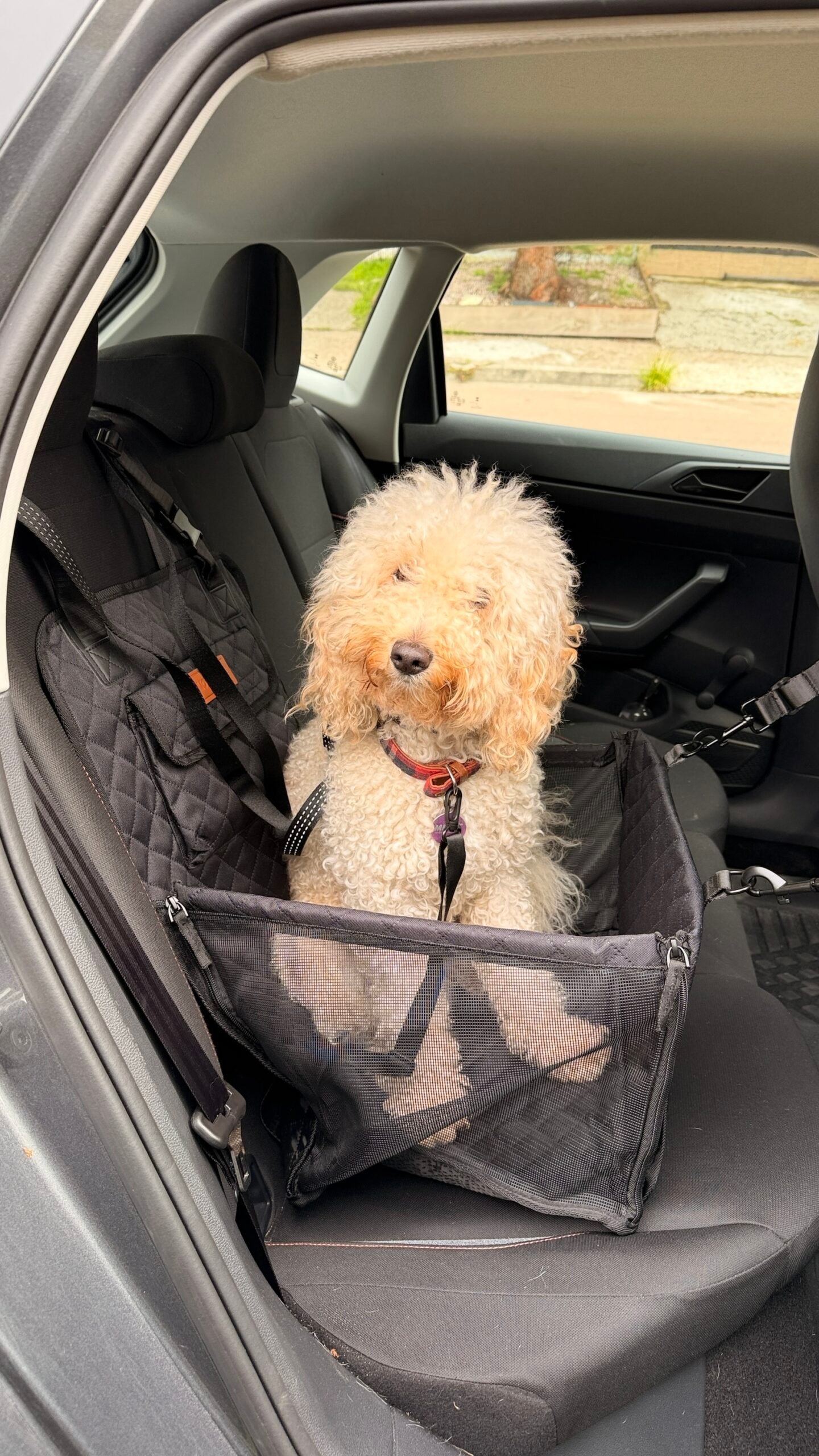 Silla Cubre Asiento para Auto Perros Pequeños con Cinto de Seguridad